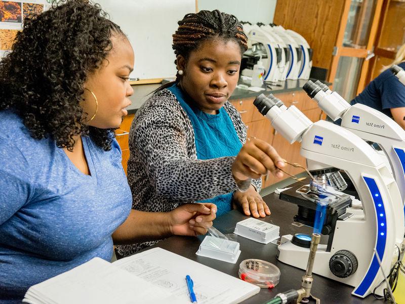 Two students using a microscope